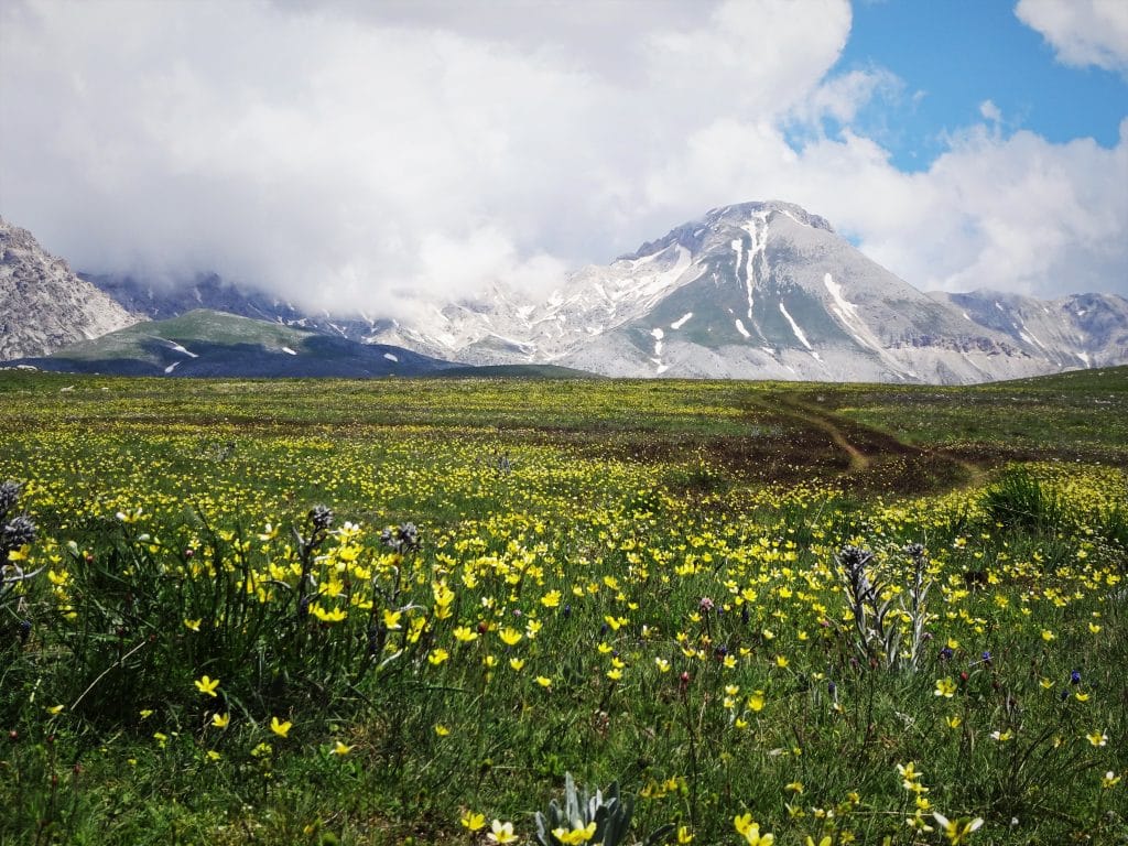 Confermati anche per il 2019 i finanziamenti a fondo perduto per l’Abruzzo come fare domanda